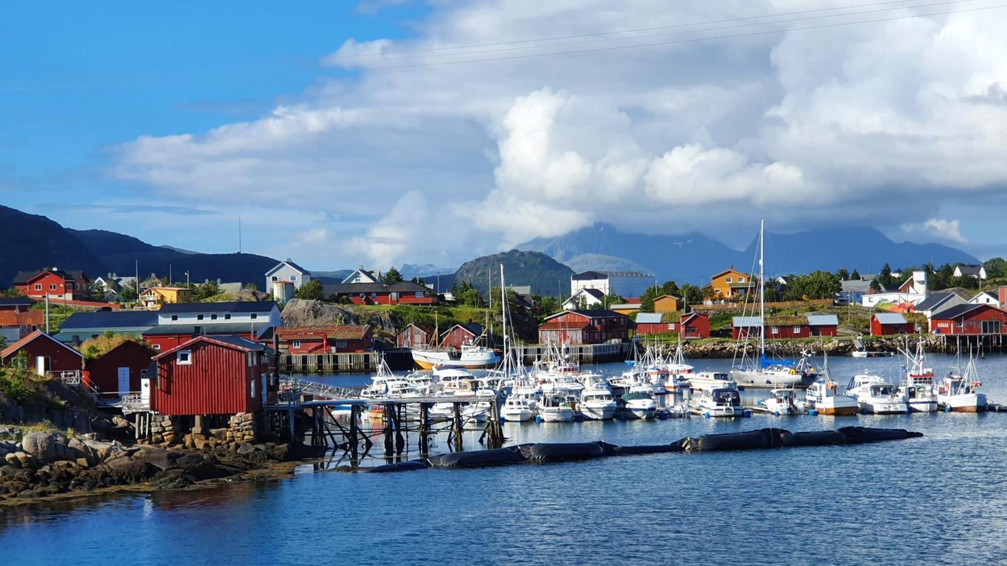 Lofoten Seaside Ballstad Exteriér fotografie